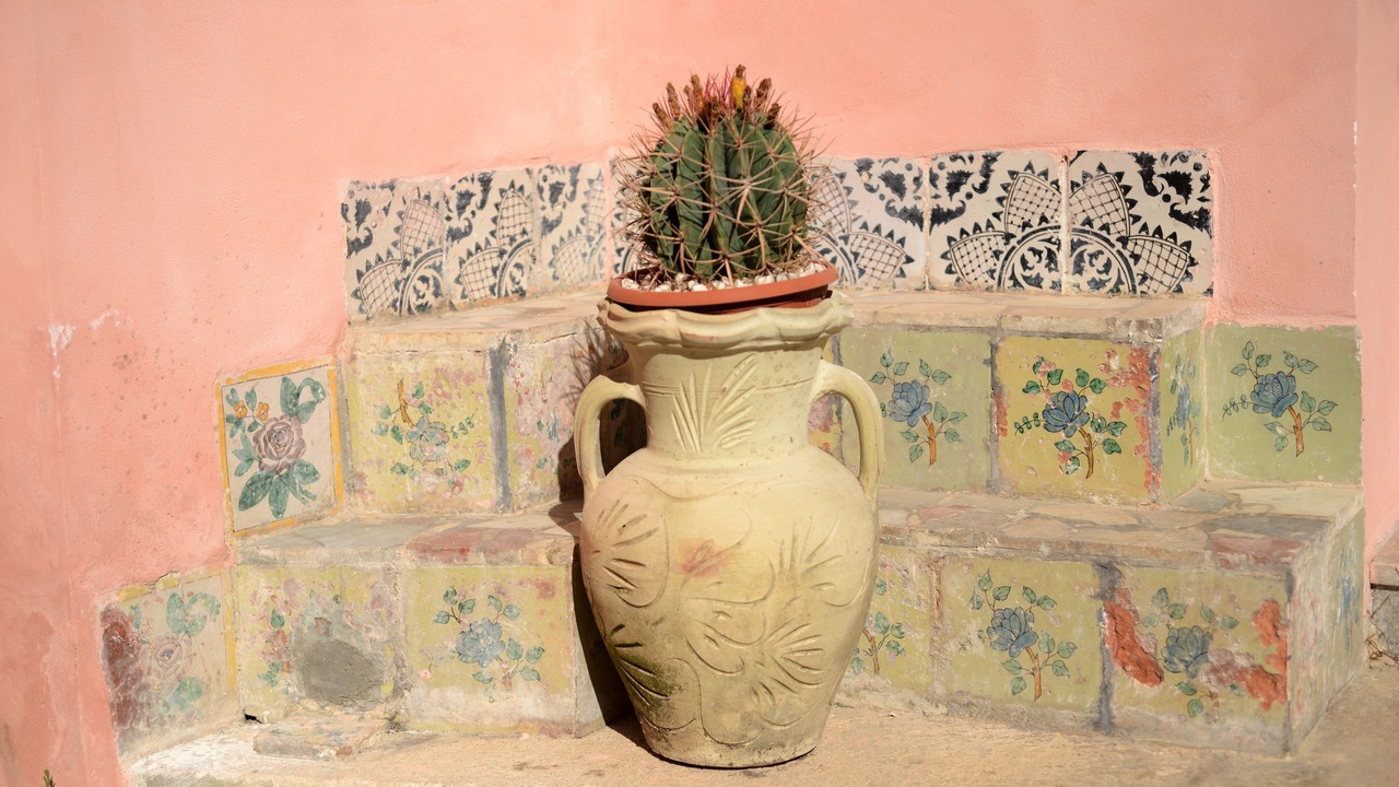 Photo of Outdoor in Trapani City Centre