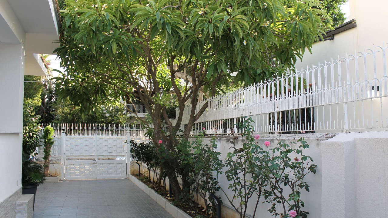 Photo of Outdoor in Mondello