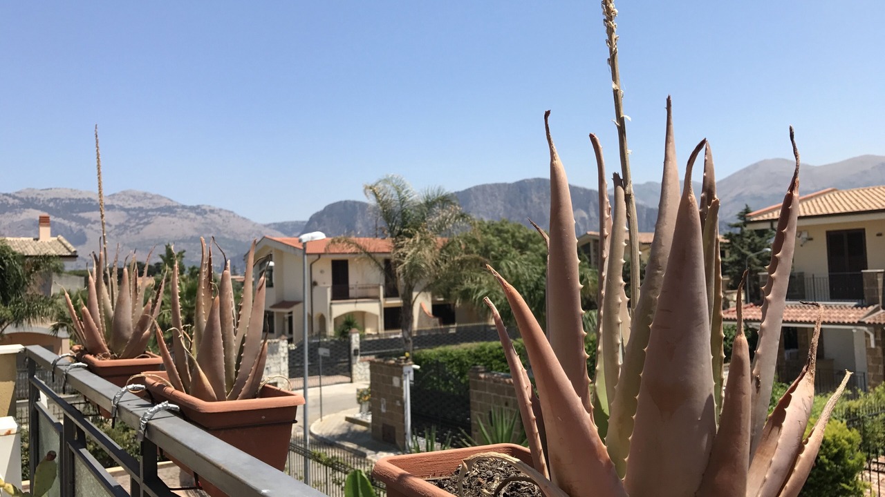 Photo of Outdoor in Villa Grazia di Carini