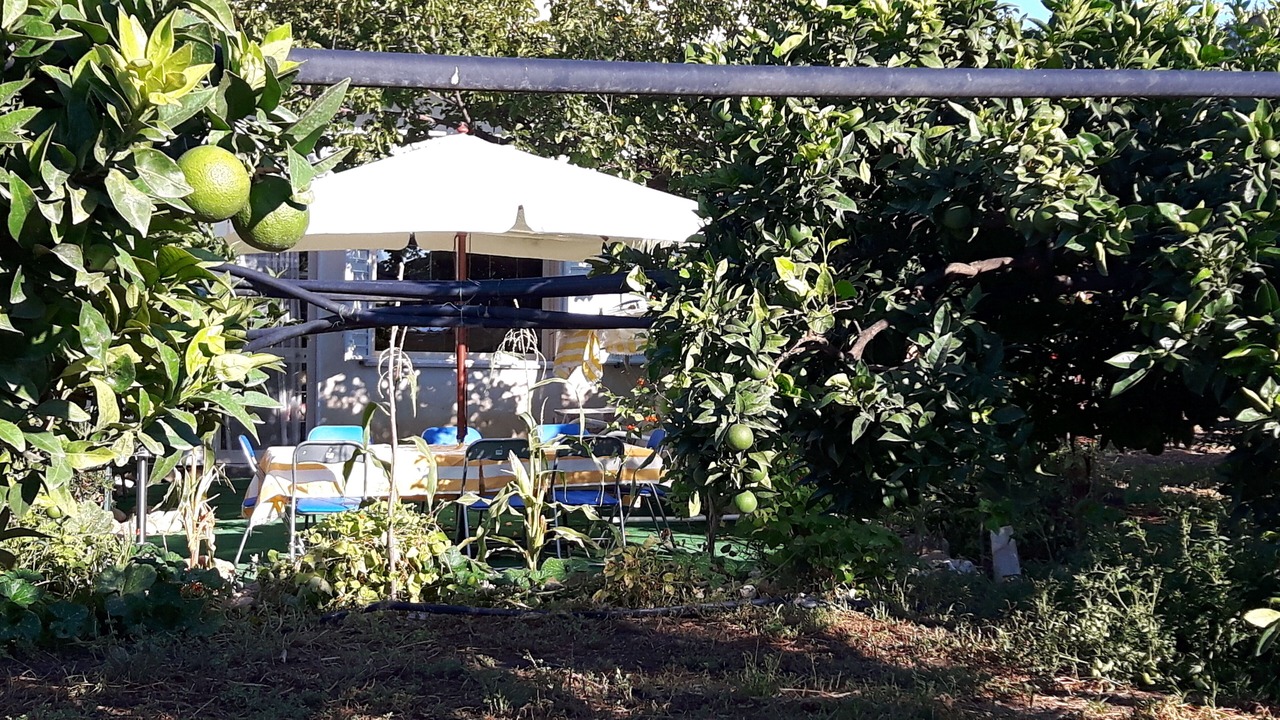 Photo of Outdoor in Sciacca