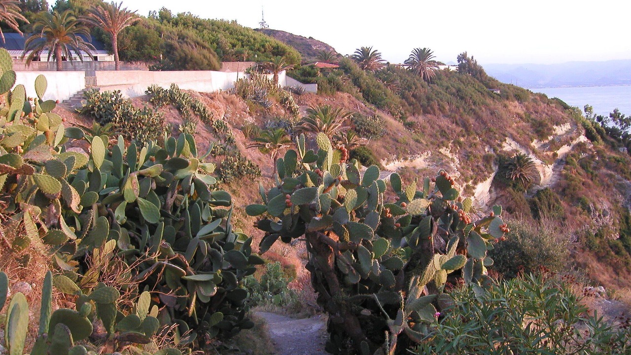 Photo of Outdoor in Milazzo