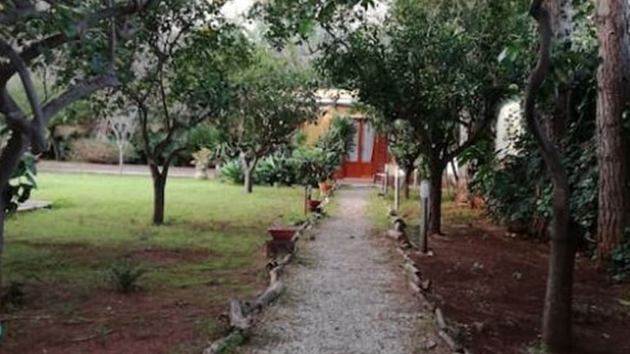 Photo of Outdoor in Mondello