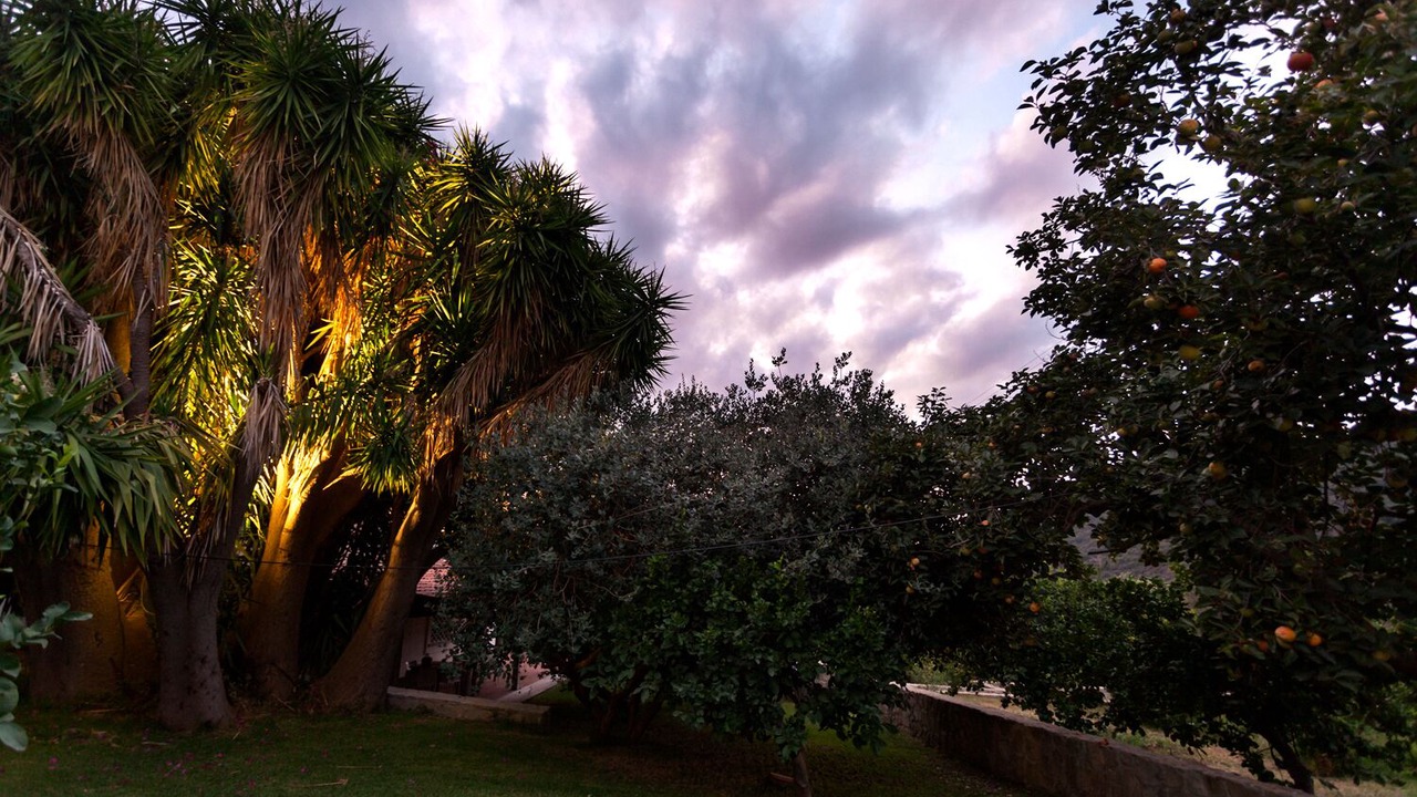 Photo of Outdoor in Mirto