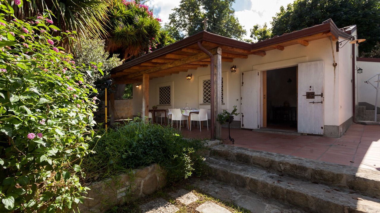 Photo of Outdoor in Mirto