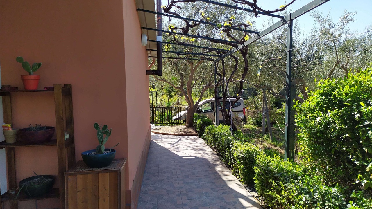 Photo of Outdoor in Mitogio