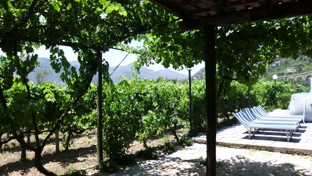 Photo of Patio Balcony in Mitogio