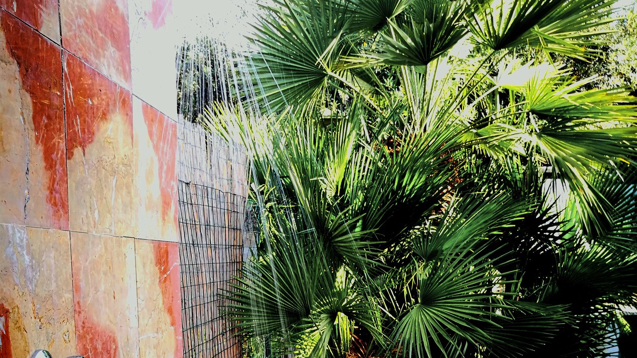 Photo of Outdoor in Bonagia