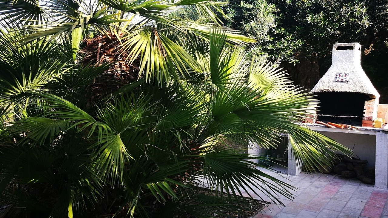 Photo of Patio Balcony in Bonagia