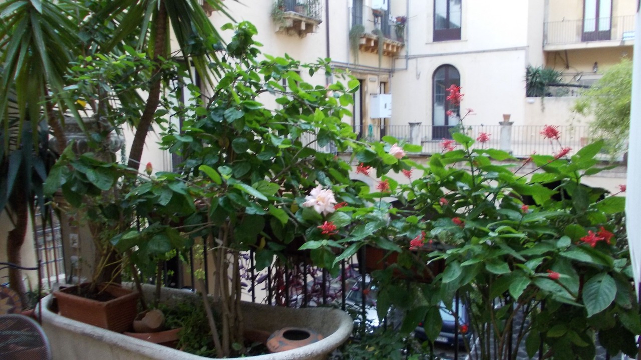 Photo of Outdoor in Catania City Centre