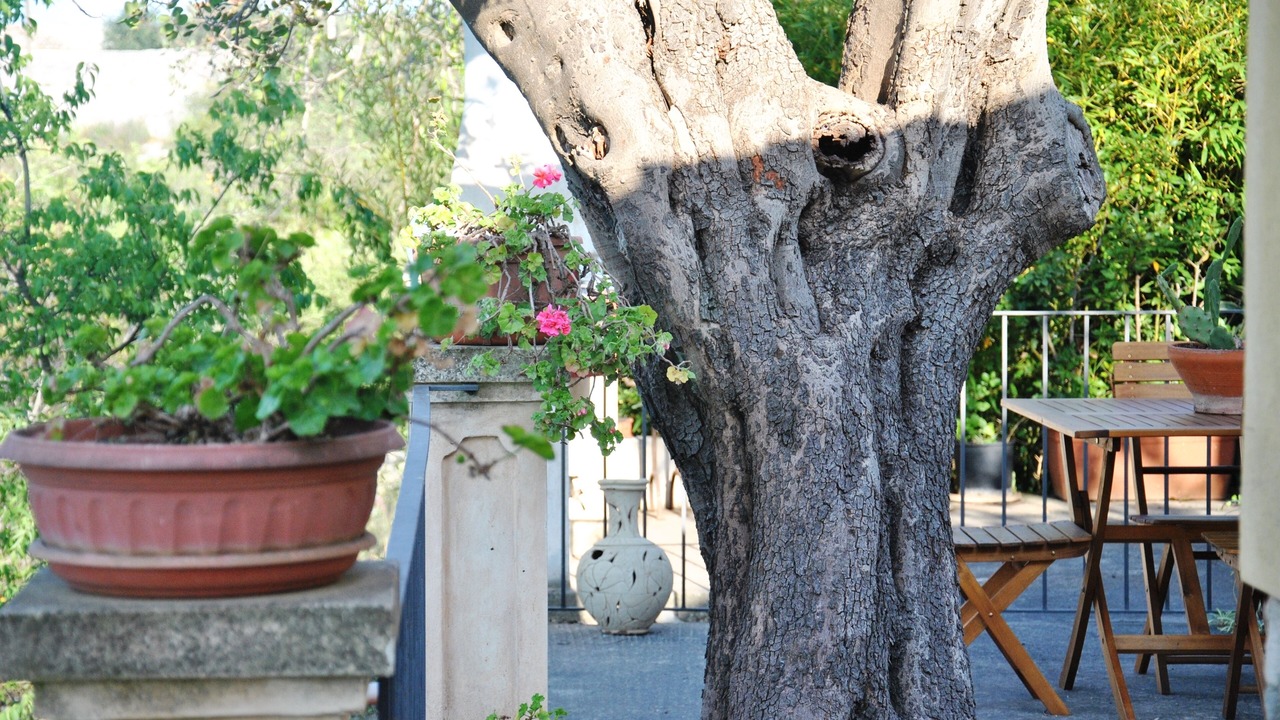 Photo of Outdoor in Pietre Nere San Zagaria
