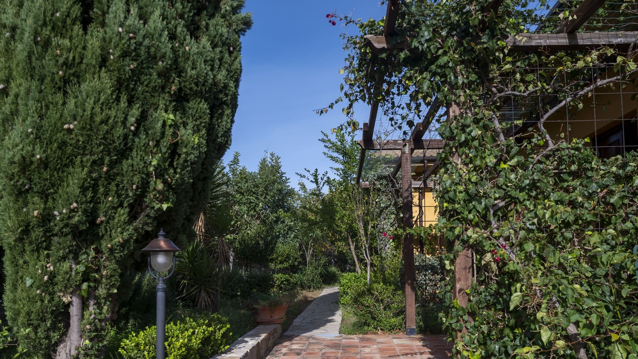 Photo of Outdoor in Cefalu