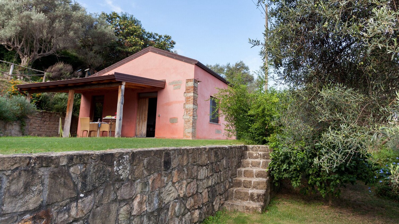 Photo of Outdoor in Mirto