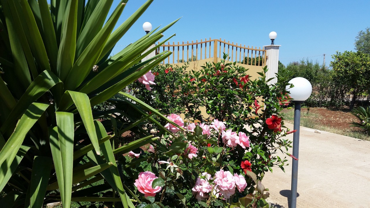 Photo of Outdoor in Floridia