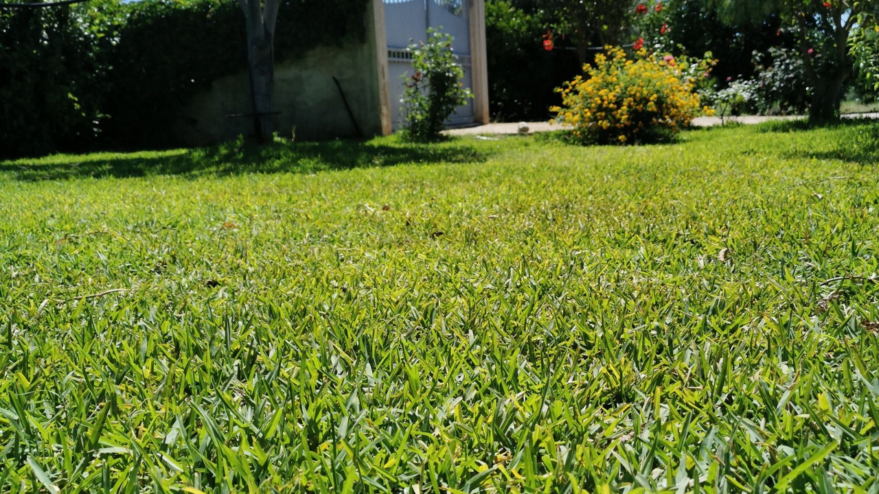 Photo of Outdoor in Floridia