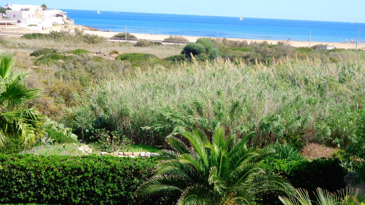 Photo of Outdoor in Pachino