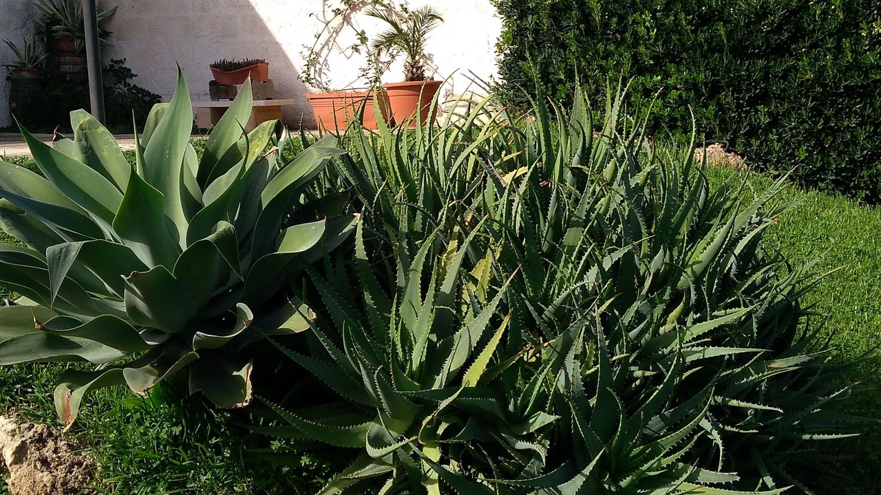 Photo of Outdoor in Pachino
