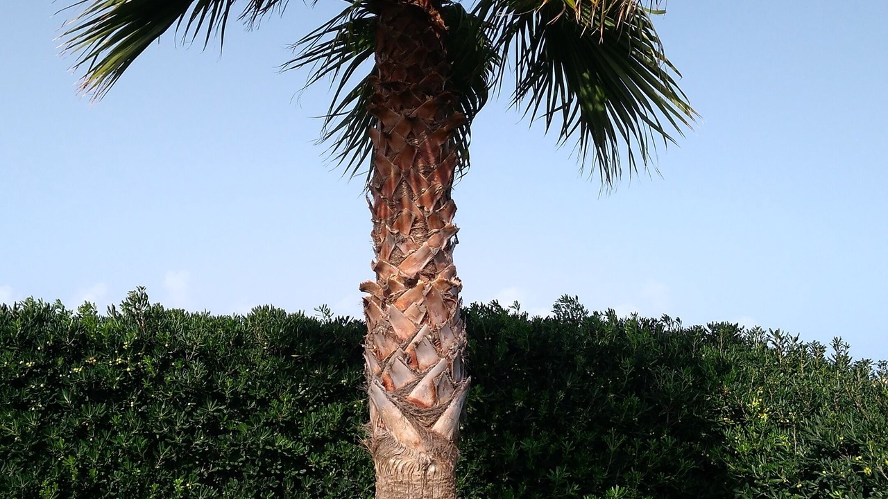 Photo of Outdoor in Pachino
