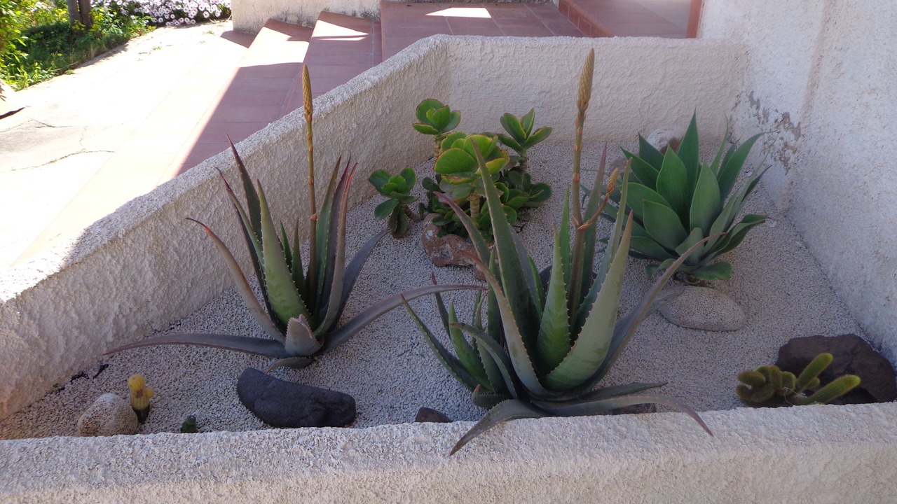 Photo of Outdoor in Pachino