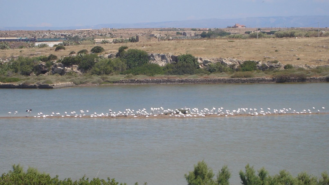 Photo of Others in Pachino