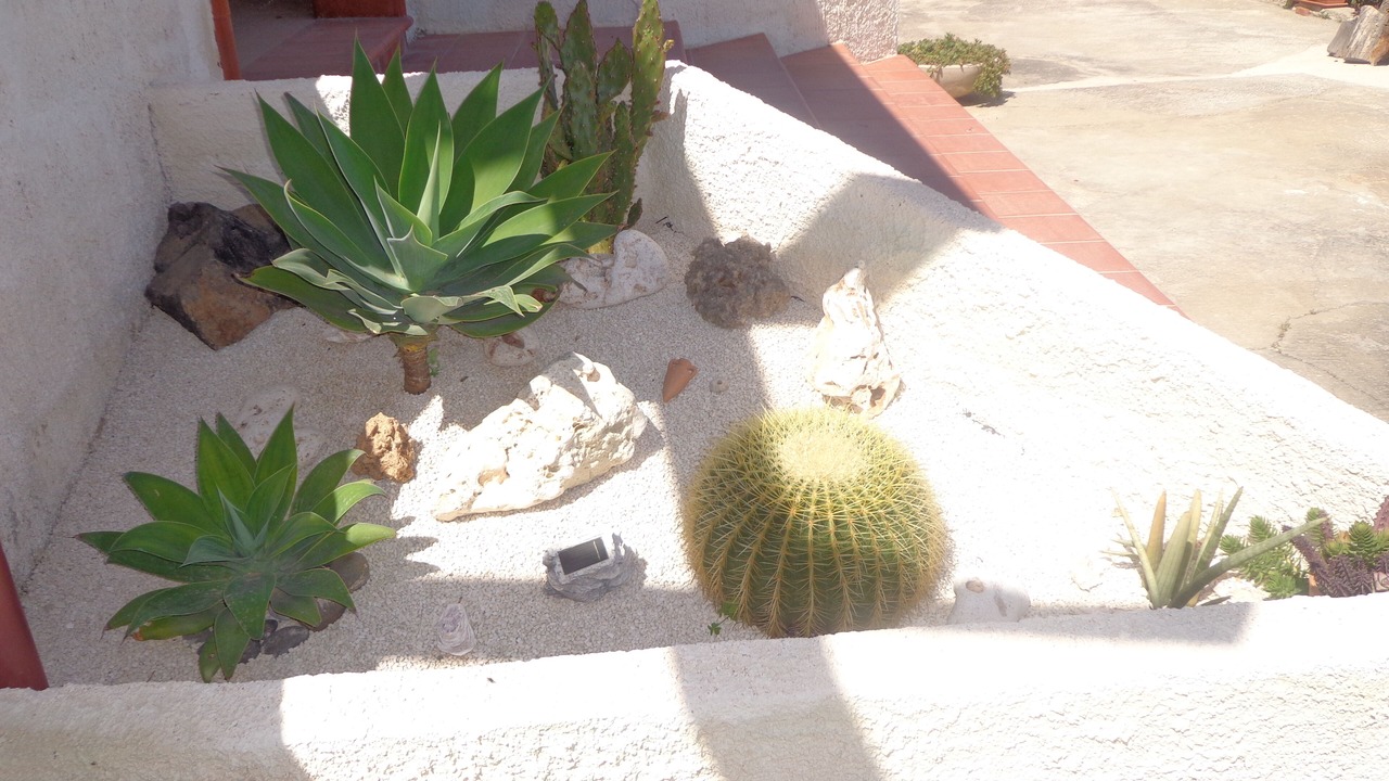 Photo of Outdoor in Pachino