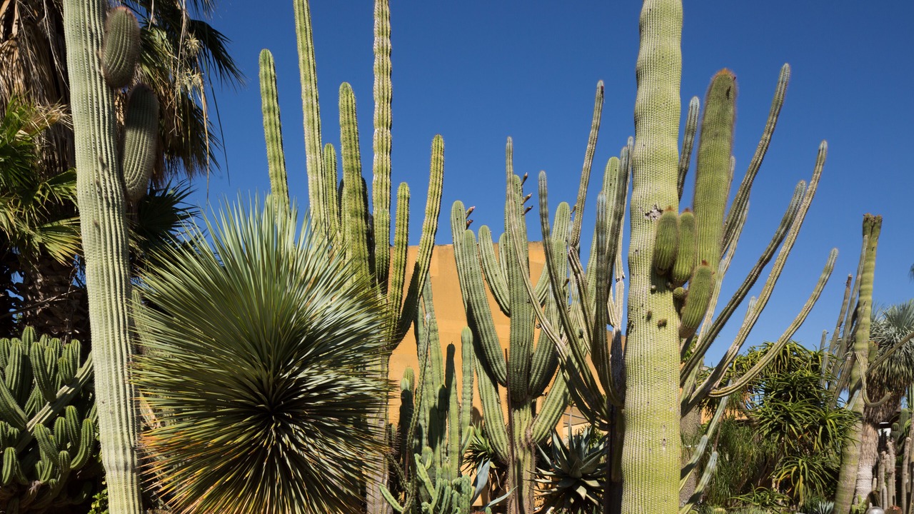 Photo of Outdoor in Marsala