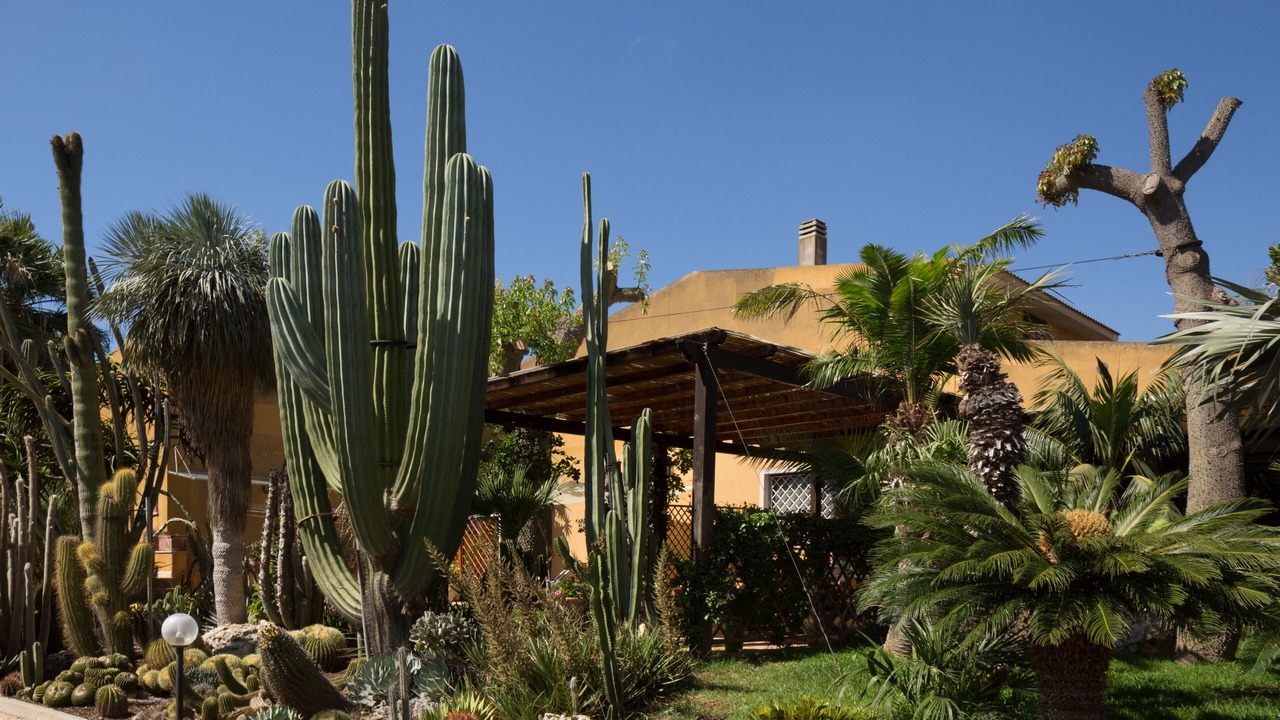 Photo of Outdoor in Marsala