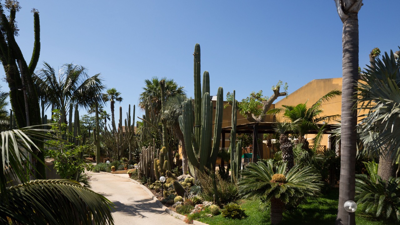 Photo of Outdoor in Marsala