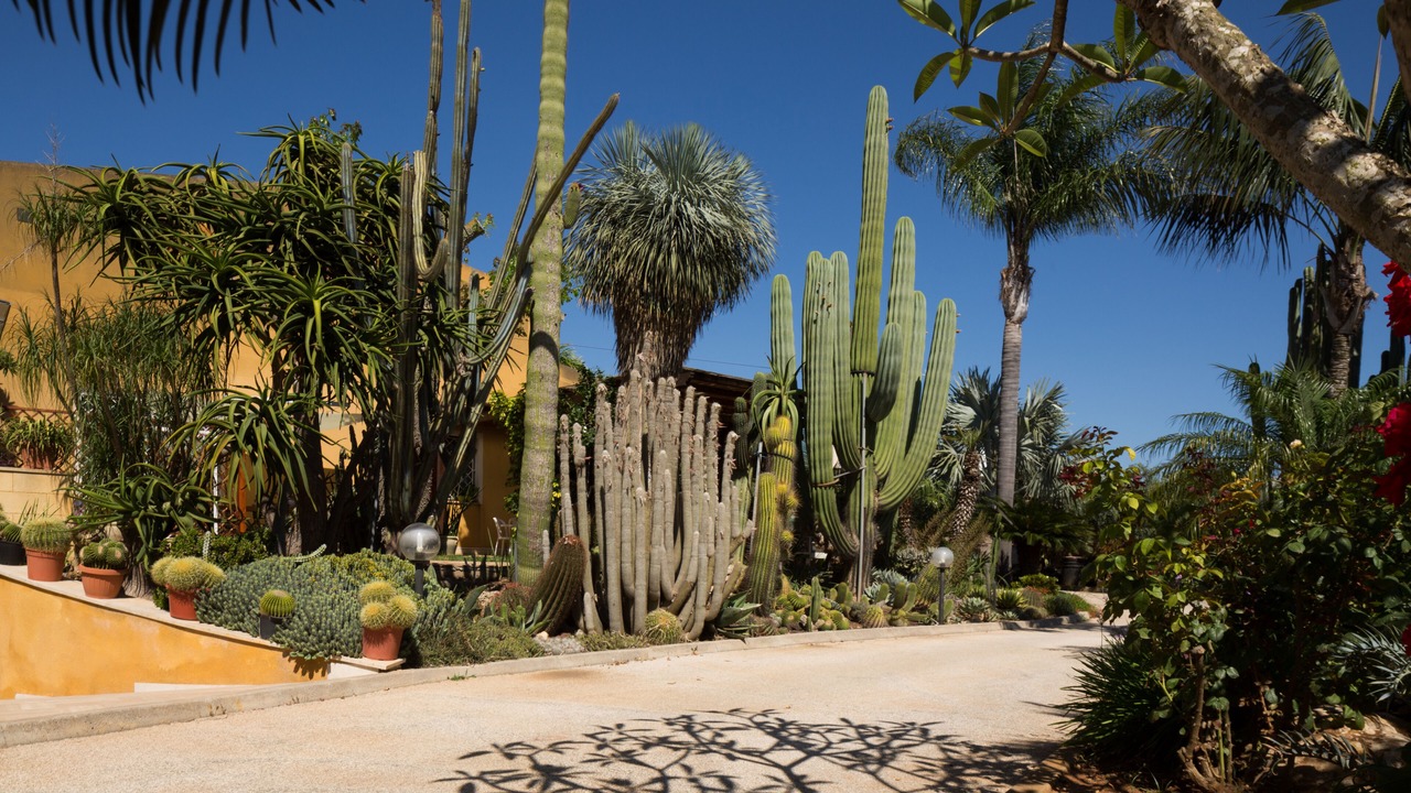 Photo of Outdoor in Marsala