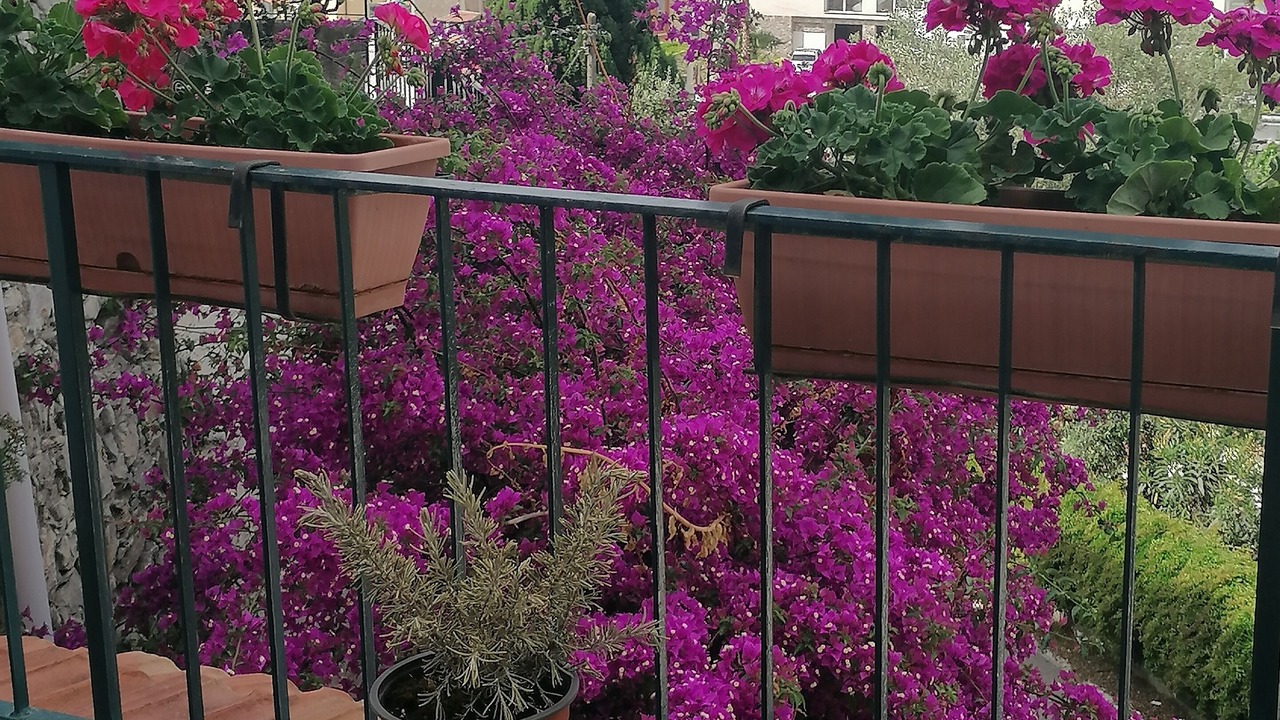 Photo of Outdoor in Taormina