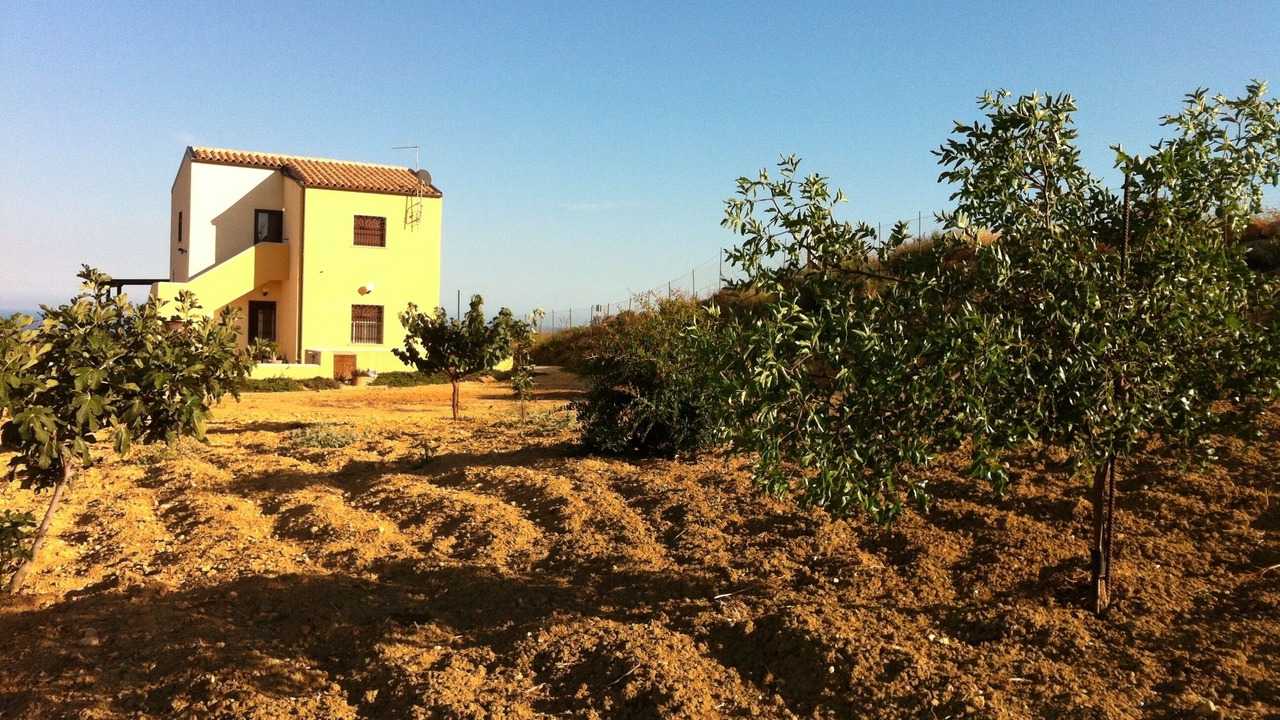 Photo of Outdoor in Pergole