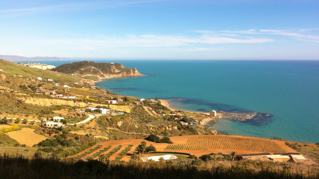 Photo of Outdoor in Pergole