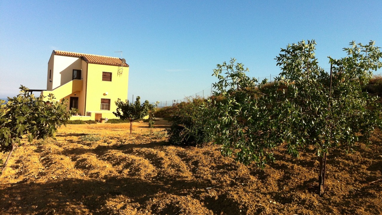 Photo of Outdoor in Pergole