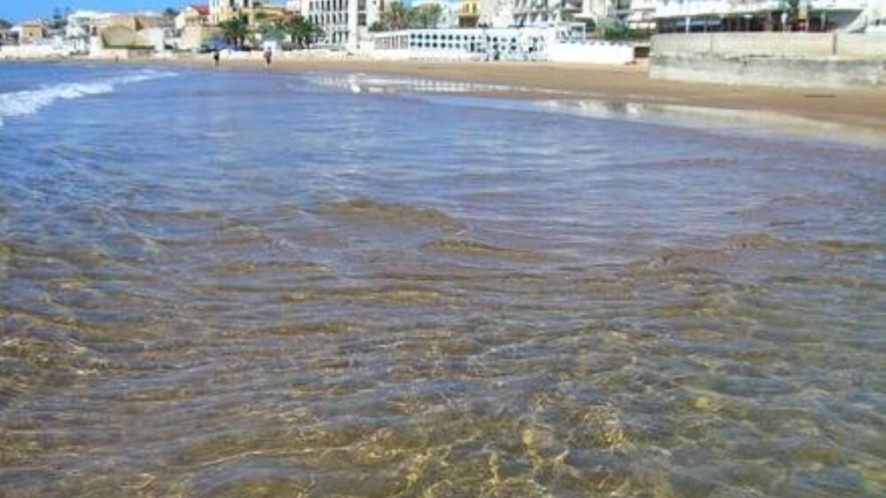 Photo of Others in Marina di Ragusa