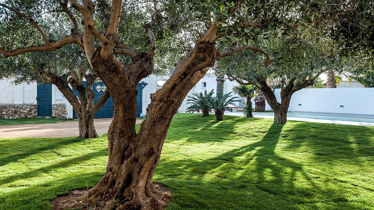 Photo of Outdoor in Marsala