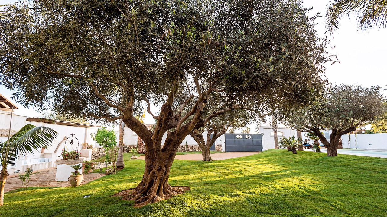 Photo of Outdoor in Marsala
