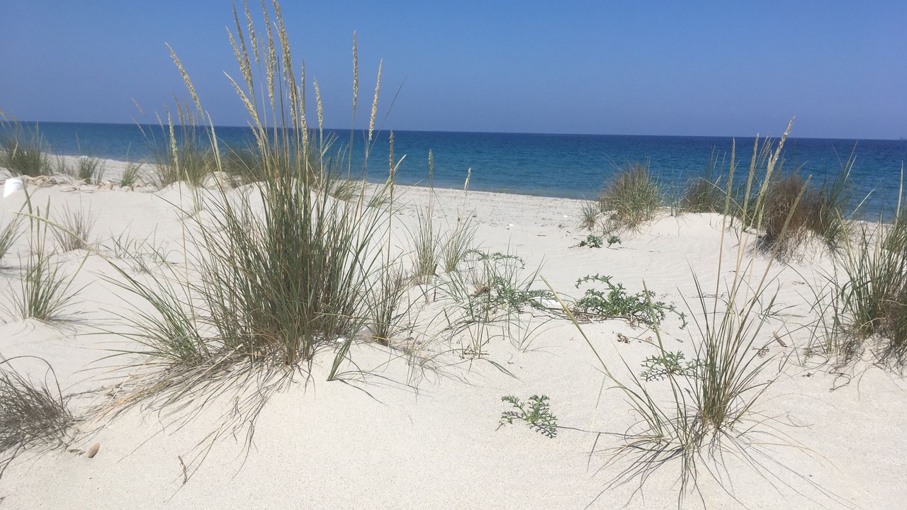 Photo of Others in Capo Peloro
