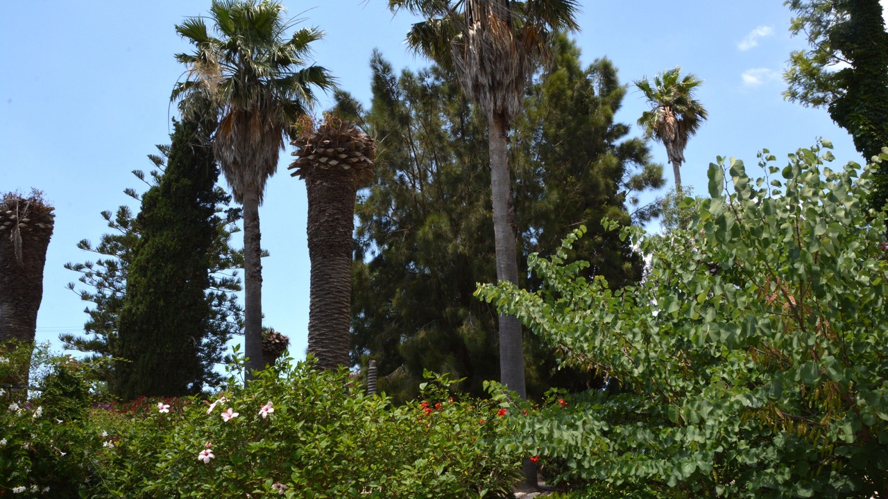 Photo of Outdoor in San Filippo