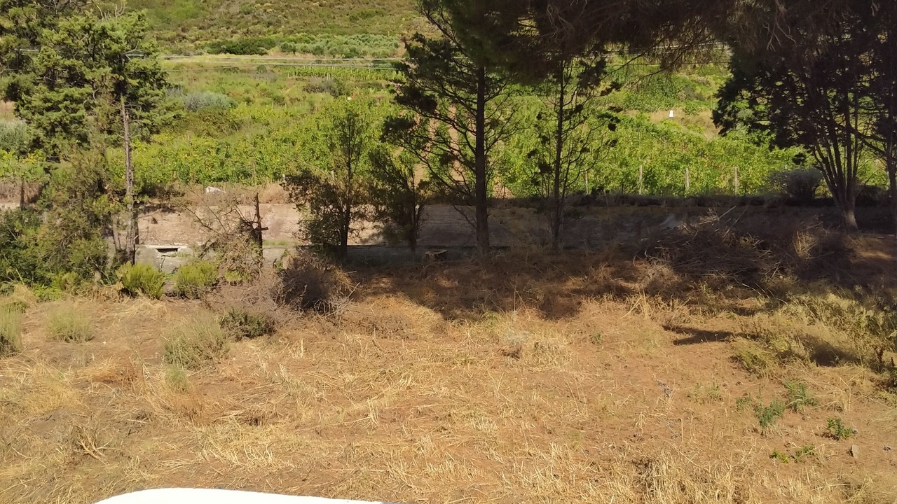 Photo of Outdoor in Leni