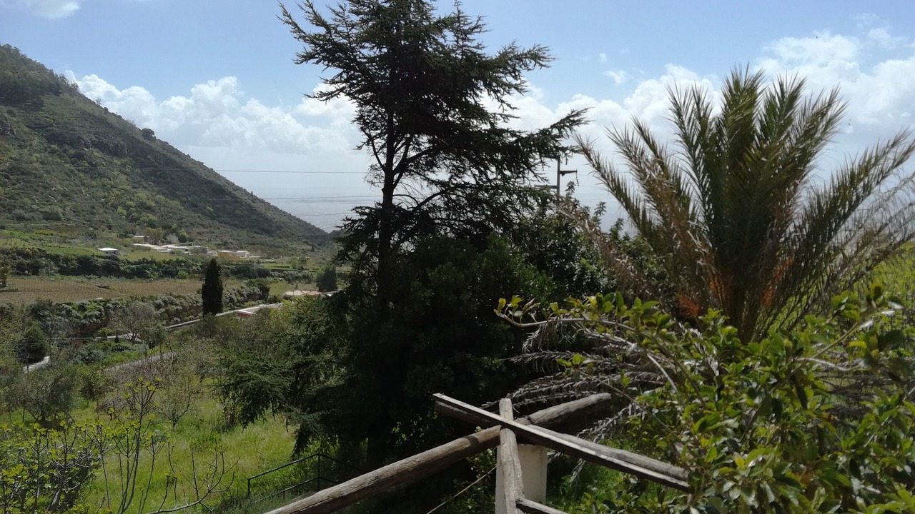 Photo of Outdoor in Leni