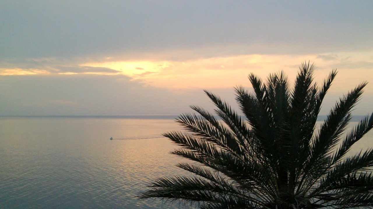 Photo of Outdoor in Gioiosa Marea