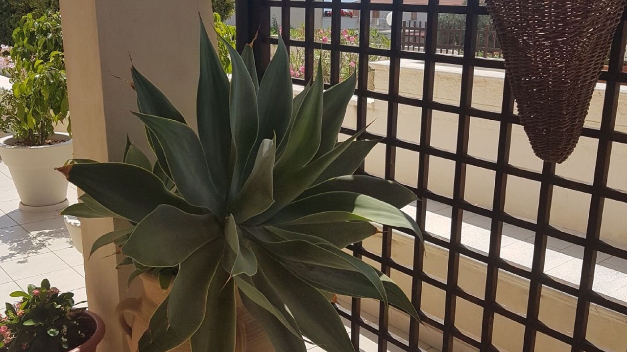 Photo of Outdoor in Marina di Ragusa