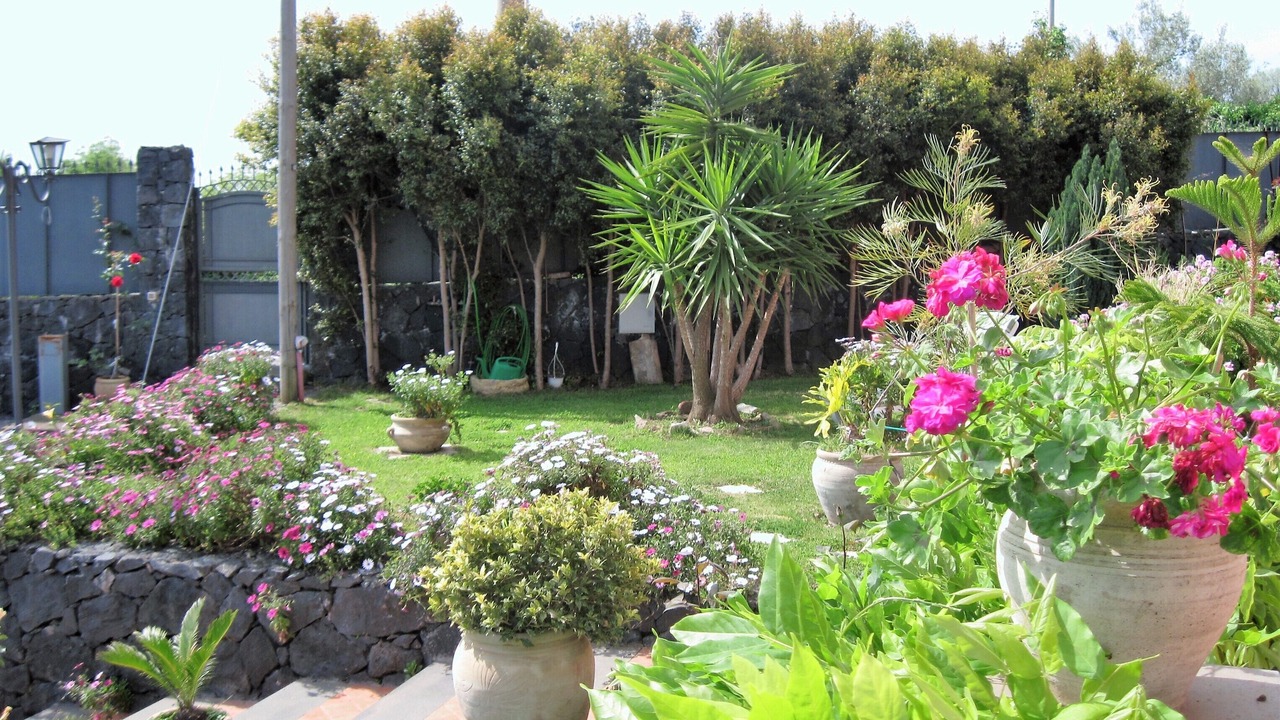 Photo of Outdoor in Mascali