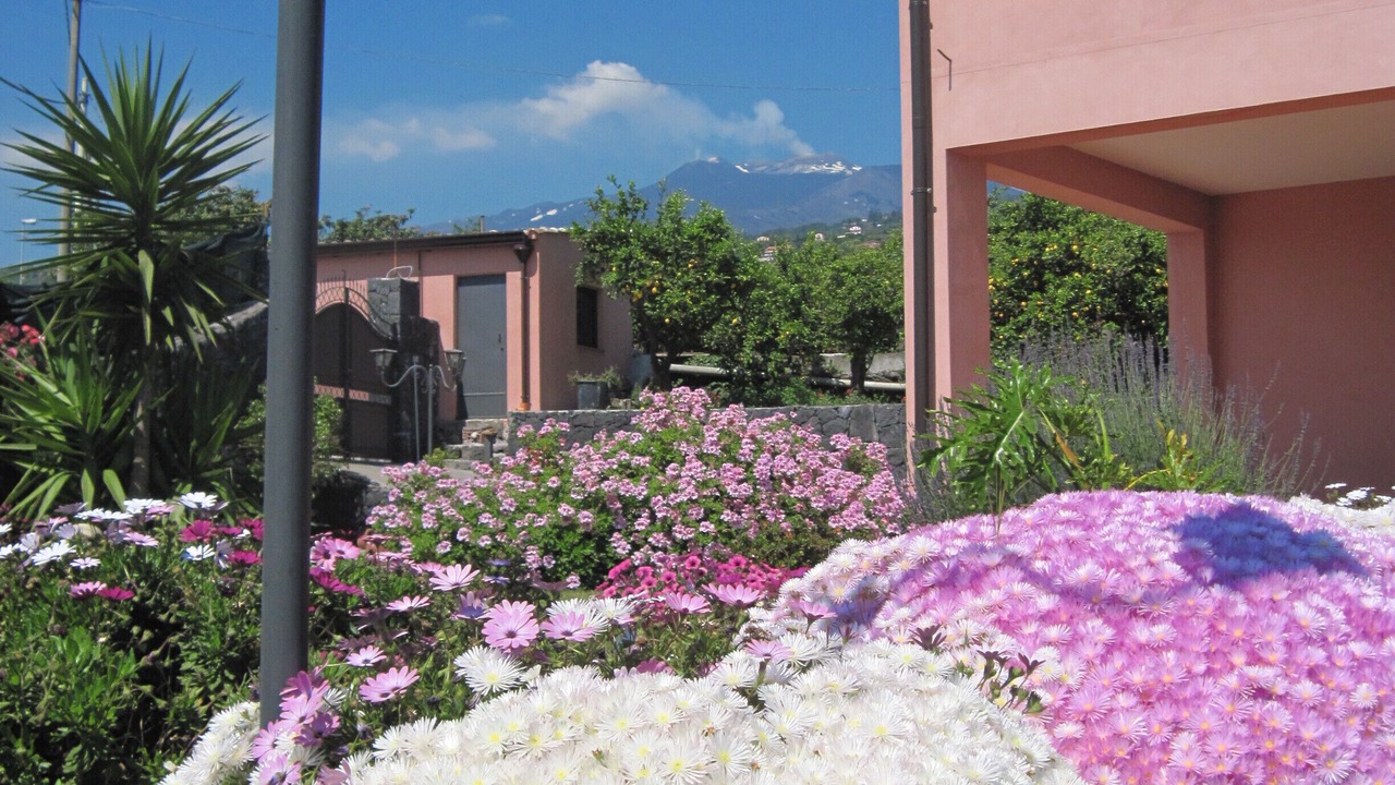 Photo of Outdoor in Mascali