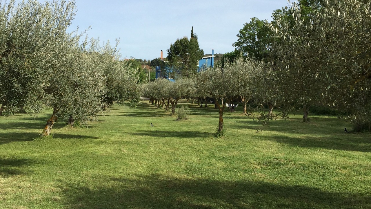 Photo of Others in Mirabella Imbaccari