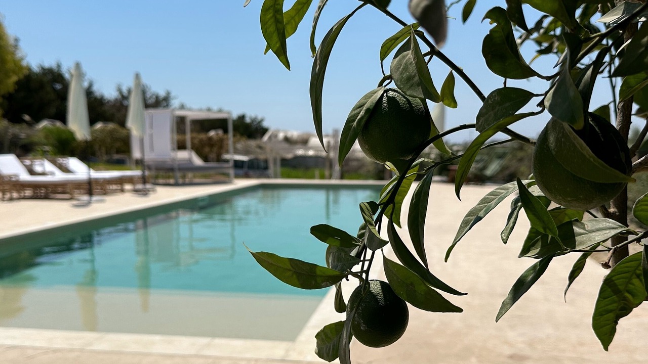 Photo of Outdoor in Santa Maria del Focallo