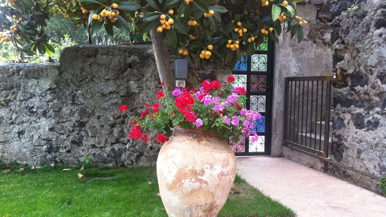 Photo of Outdoor in Cibali