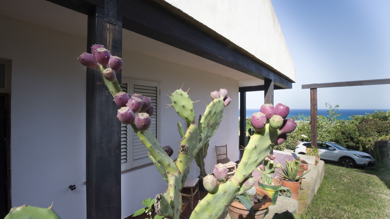Photo of Outdoor in Capo Peloro