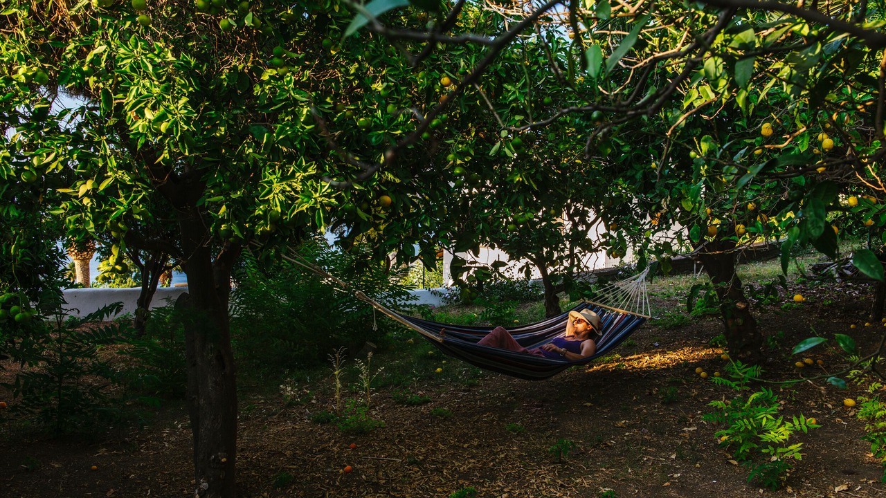 Photo of Outdoor in Malfa