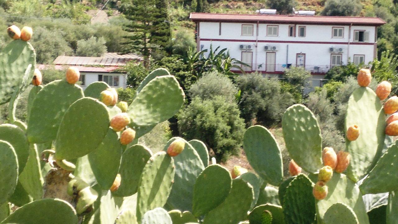 Photo of Outdoor in Gioiosa Marea
