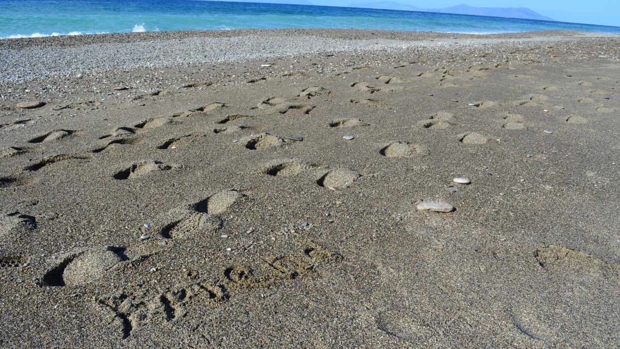 Photo of Others in Gioiosa Marea